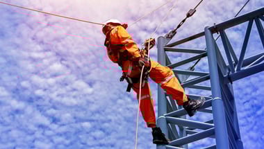 dss+ Risk Factor eLearning