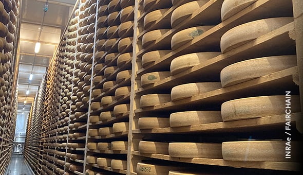 Driving Circular Impact in Food Systems