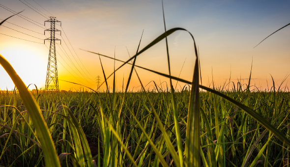 Transforming Leadership and Operational Engagement