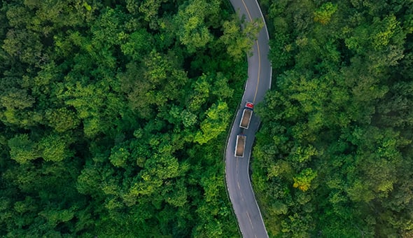 Scaling Net Zero from Boardroom to Bottom Line