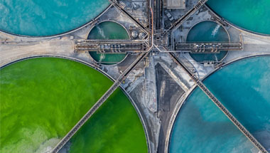 The Time Is Now to Go Green