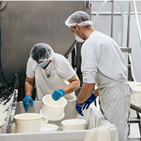 A Dairy Cooperative Achieves Productivity Improvements and Cost Savings