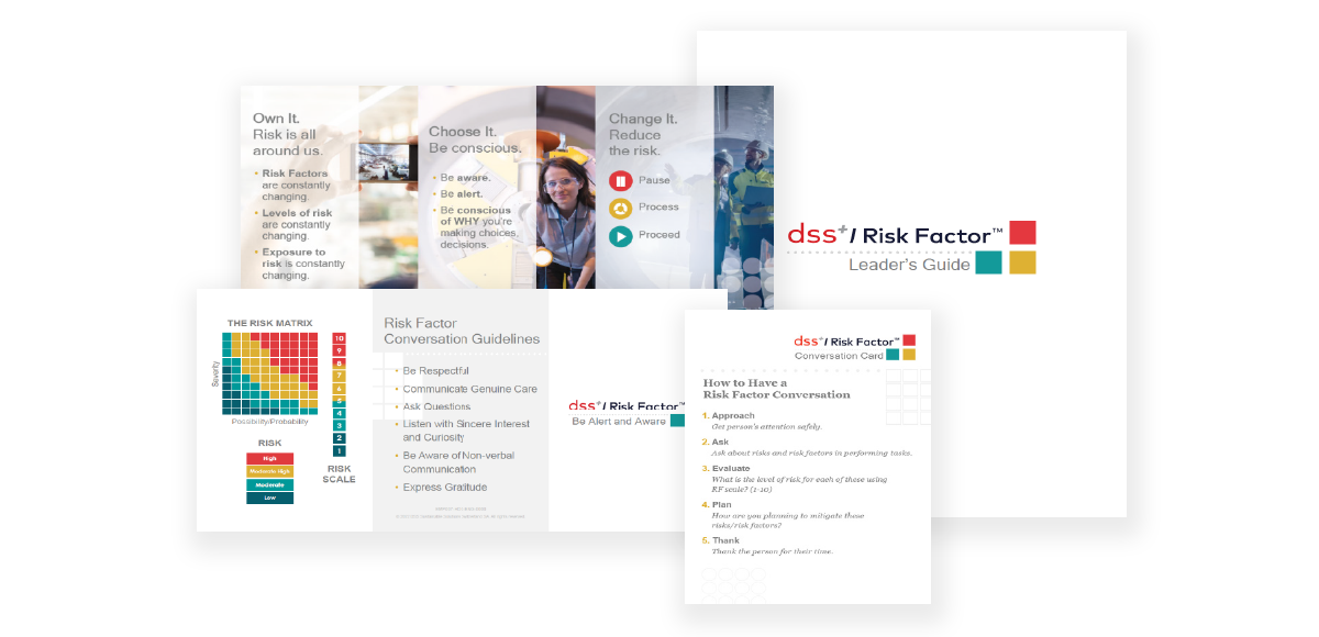 br-risk-factor-leadersguide-ci.png