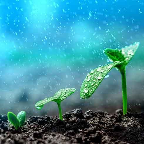 Fertiliser & Derivatives Producer