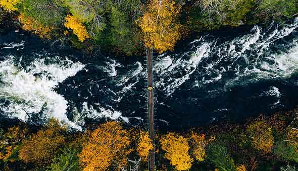 ESG - A Lever for Private Equity Value Creation