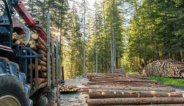 Magnus Karlsson: Making safety results work 