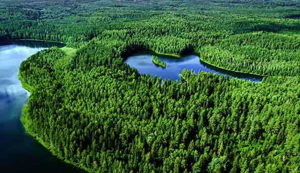 Podcast: Why It’s an Exciting Time for Sustainability