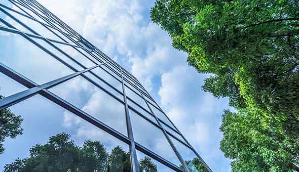 Why Prioritising ESG will Finance your Future