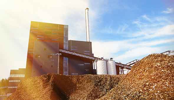 Deborah Zani: Sustainability as an adaptive process
