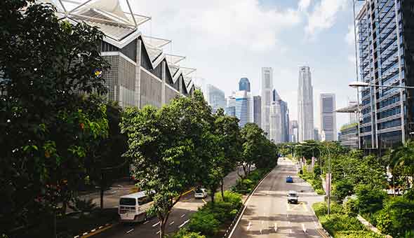 Linette Casey: Driving the Sustainability Projects Forward