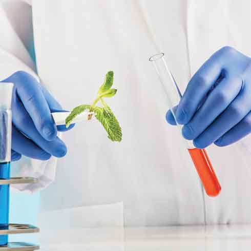 Aromatic Manufacturer
