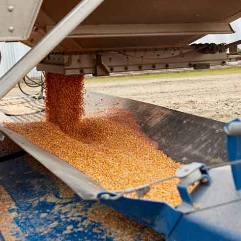 Helping communicate and educate stakeholders on sustainability in Italian Feed Production