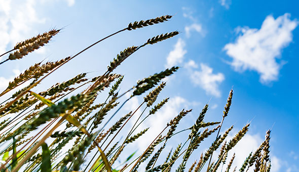 Andrea Sánchez: Sustainability is Not a Stand-Alone Initiative