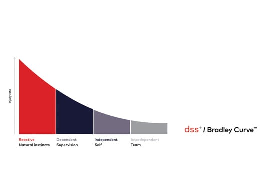 dss+ Bradley Curve Video