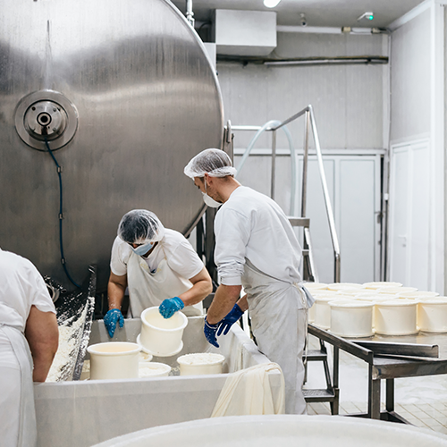 A Dairy Cooperative Achieves Productivity Improvements and Cost Savings