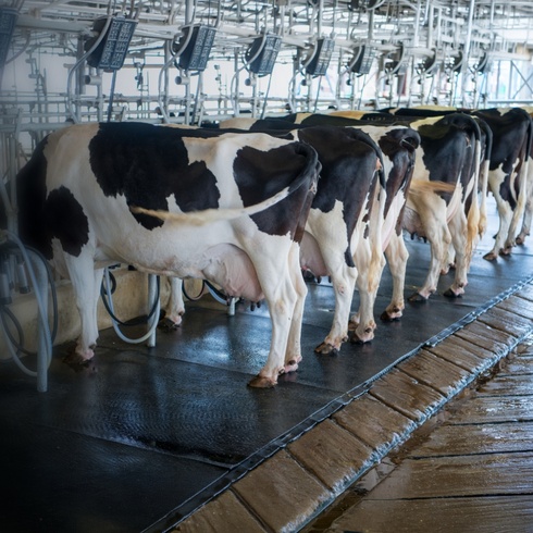 From corporate ambition to farmer-led implementation