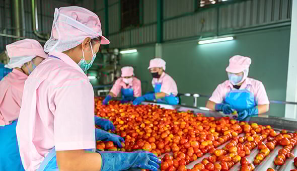 Continuous Improvement as Key to F&B Agility