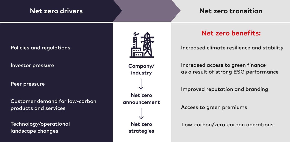 ar-net-zero-chart-ci.jpg