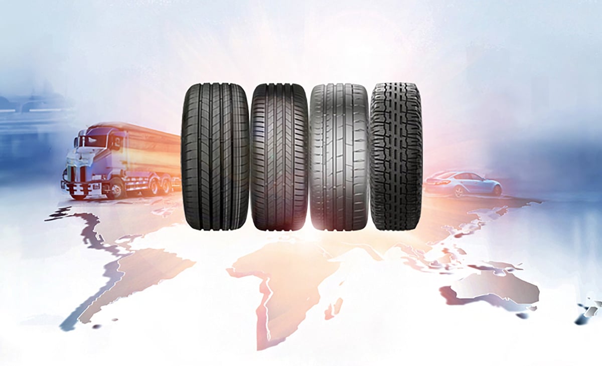 TIP’s Progress Towards SDGs 2021–2024 KPIs