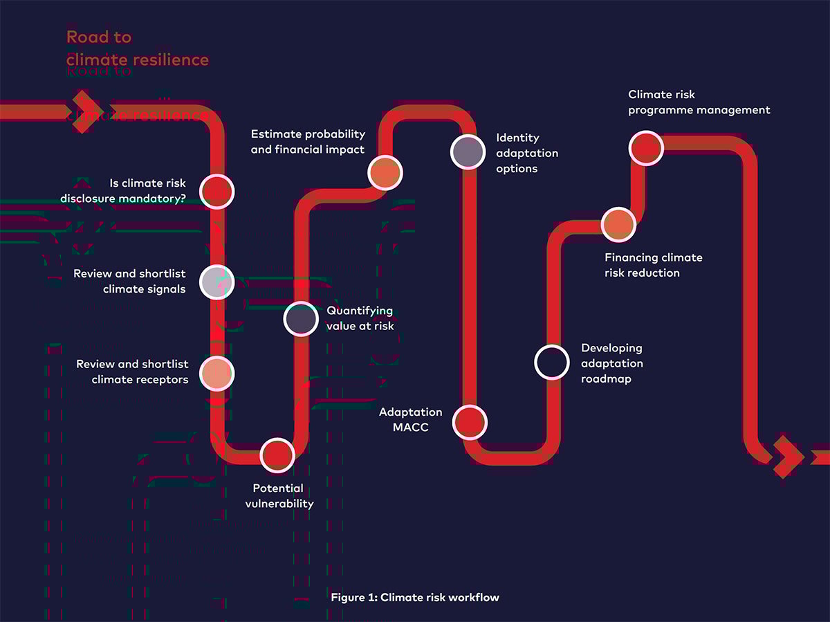 Climate Risk Workflow