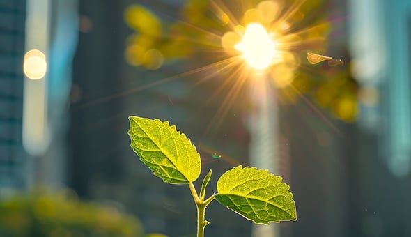 Be smart about Climate Risk