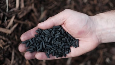 Black Bull Biochar Wins £3m Government Contract
